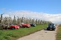 MG Bloesemrit op 24-4-2016 org. Jos&Marie-lou  (202)